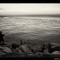 mare,bianconero,fine art,scogli,spiaggia,,gabbiani,reti da pesca,tramonto