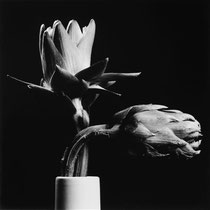 bianconero,fine art,still life,nature morte,fotografia d'arte,foto creative