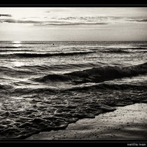 mare,bianconero,fine art,scogli,spiaggia,,gabbiani,reti da pesca,tramonto