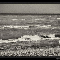 mare,bianconero,fine art,scogli,spiaggia,,gabbiani,reti da pesca,tramonto