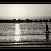 mare,bianconero,fine art,scogli,spiaggia,,gabbiani,reti da pesca,tramonto