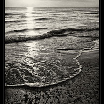 mare,bianconero,fine art,scogli,spiaggia,,gabbiani,reti da pesca,tramonto