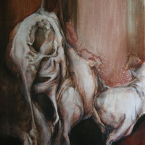 série Flesh 