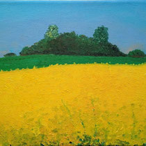 Rapsfeld auf Rügen     Öl auf Leinwand     24x30cm     2007 