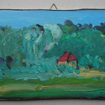 N 12 Regnitzwiesen (bei Alterlangen) (18x28)