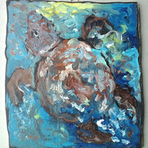 N 24 Wasserschildkröte (nach Skizze) (25x22)