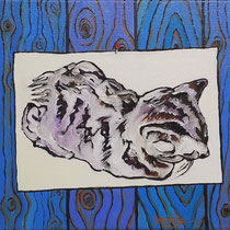 Die kleine Katze,   Öl auf Leinwand,  24x30cm,  2014