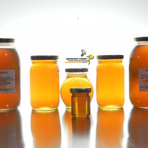 Exquisita miel de abejas 