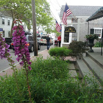 Downtown Edartown  -- great place to walk, have a bite to eat, or shop.