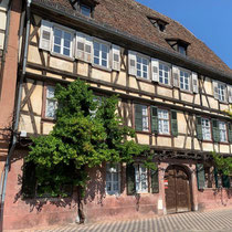 Ausflug - 20.07.24