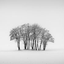 Title: "Snow white silence 01, b&w"