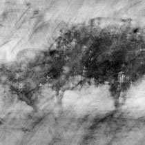 Title: "Poetic trees 05, b&w"