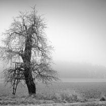 Title: "A touch of winter 01, b&w"
