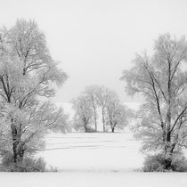 Title: "Frozen silence 02, b&w"