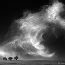 Title: "the beast 01, b&w"