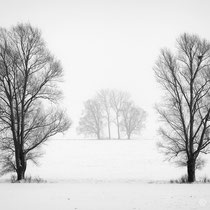 Title: "Silence 05, b&w"