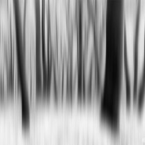 Title: "Fresh snow 03, b&w"