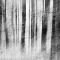Title: "Translucent daydream 03, b&w"