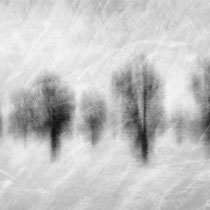 Title: "Abstract winter poem 02, b&w"