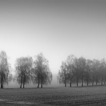 Title: "Fading away 07, b&w"