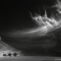 Title: "up in the air 05, b&w"