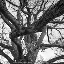 Title: "Between heaven and earth 01, b&w"