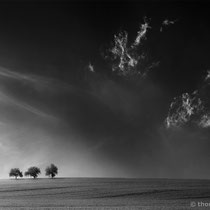 Title: "up in the air 10, b&w"