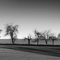 Title: "Shadow lines 01, b&w"