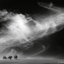 Title: "up in the air 03, b&w"