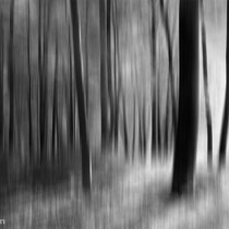 Title: "Light and shadow 04, b&w"