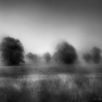 Title: "Summer rain 07, b&w"