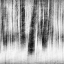 Title: "Fresh snow 04, b&w"