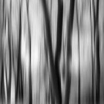 Title: "Impressions of light 07, b&w"
