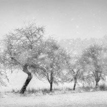 Title: "Let it snow 03, b&w"