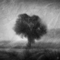 Title: "Lost in tranquility 09, b&w"