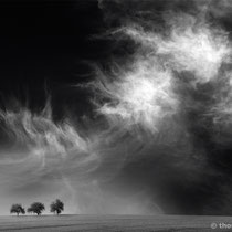 Title: "up in the air 06, b&w"
