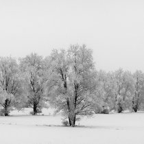 Title: "Frozen silence 03, b&w"