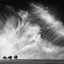 Title: "up in the air 11, b&w"