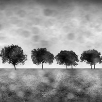 Title: "Beautiful rainy day 05, b&w"