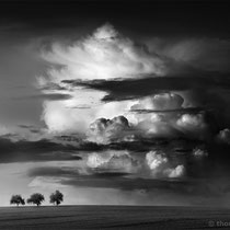 Title: "after the thundershower 01, b&w"
