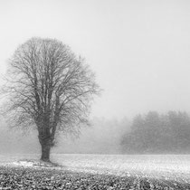 Title: "Let it snow 02, b&w"