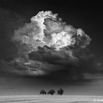 Title: "sometimes bigger is better 01, b&w"