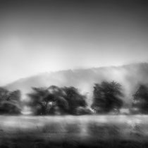 Title: "Summer rain impressionism 01, b&w"