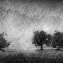 Title: "Lost in tranquility 01, b&w"