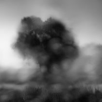 Title: "Those rainy days 01, b&w"