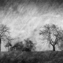 Title: "Lost in tranquility 16, b&w"