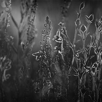 Title: "Light show 01, b&w"