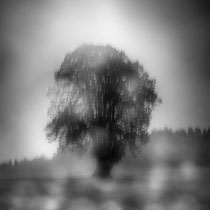 Title: "Blurry day 01, b&w"
