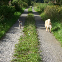Nicki und Flecki