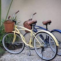 4 Free bikes available for our guest. 2 Extra bikes could be arrange depending of availability 